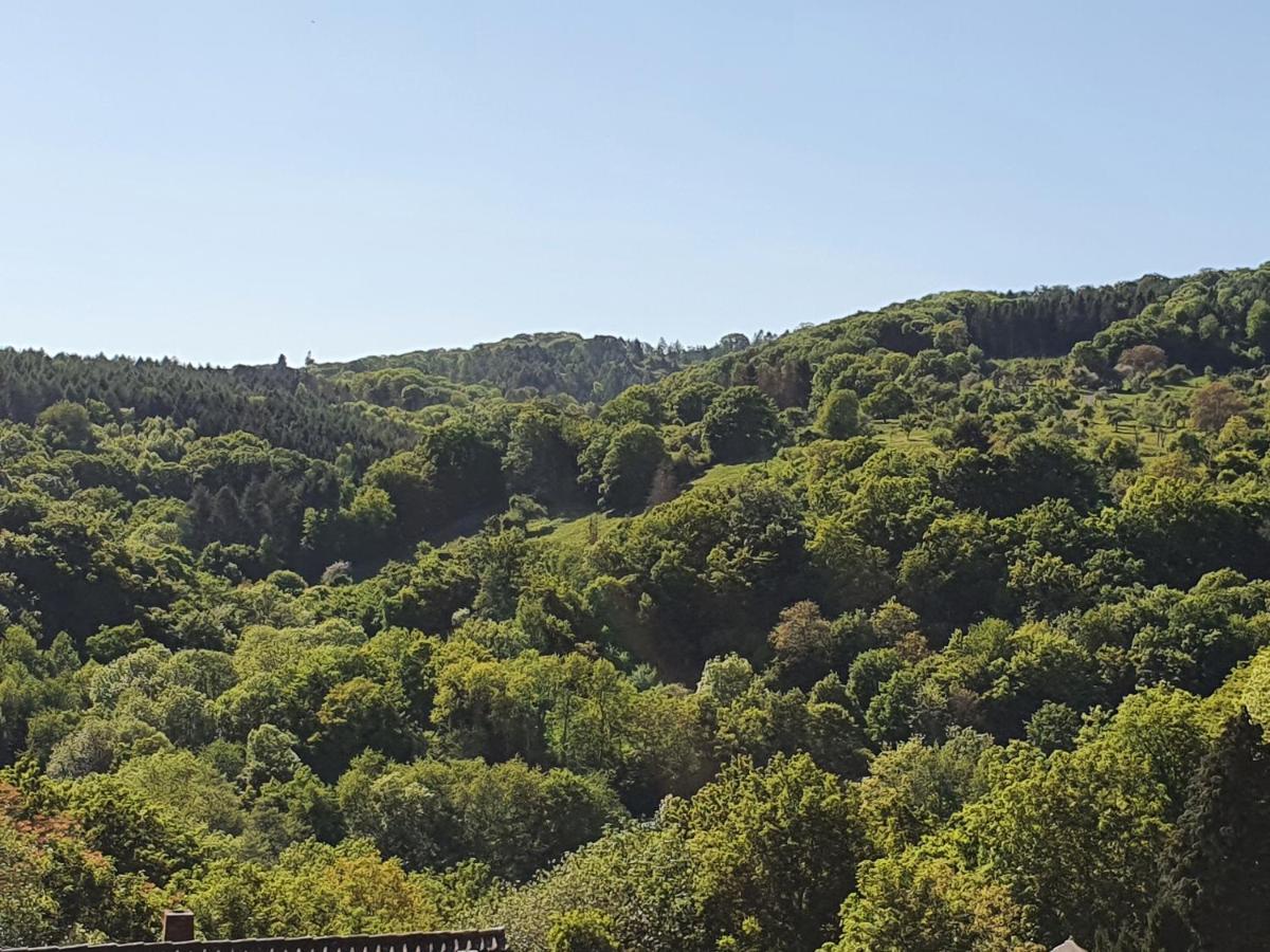 Die Gruene Oase Am Rheinsteig 2 Zkbuwc Neuwied Eksteriør billede